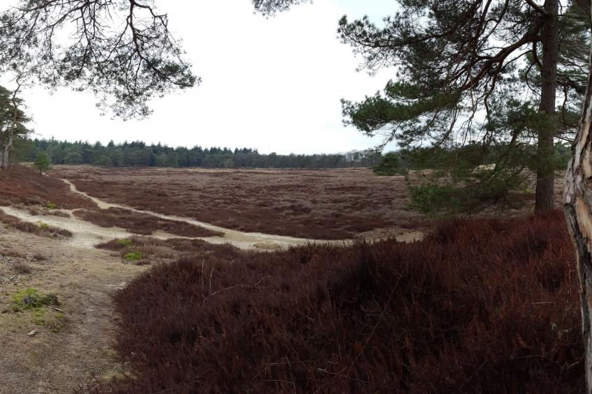 Geschmackvoll eingerichtetes Bauernhaus aus dem 19. - foto 17