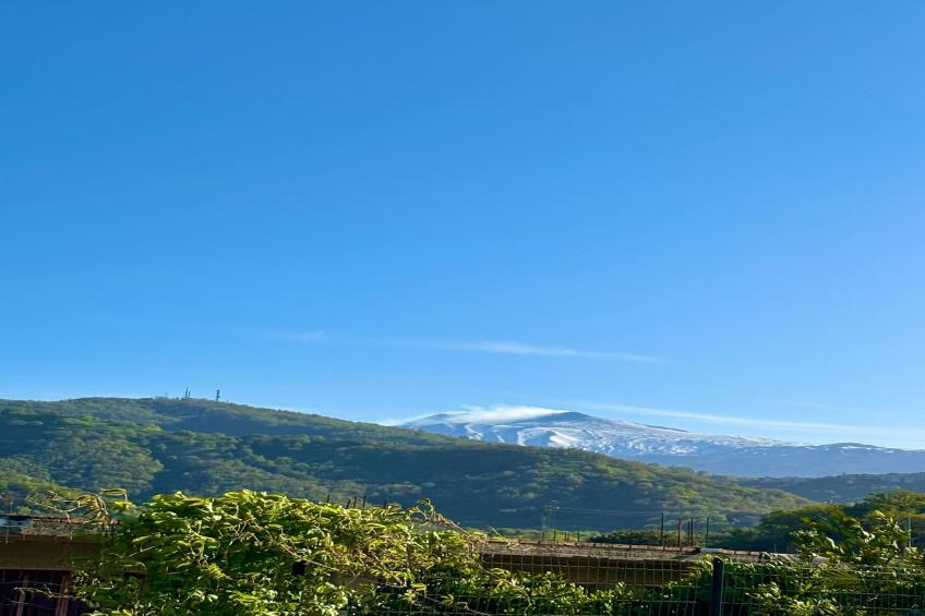 Ferienhaus Francavilla di Sicilia Villa Uliveto - foto 37