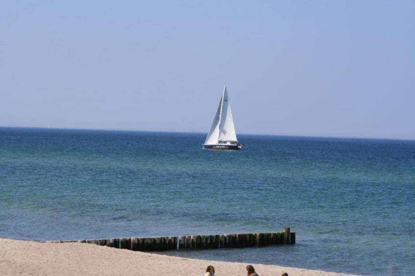 Altes Bauernhaus / Gartenblick - foto 36