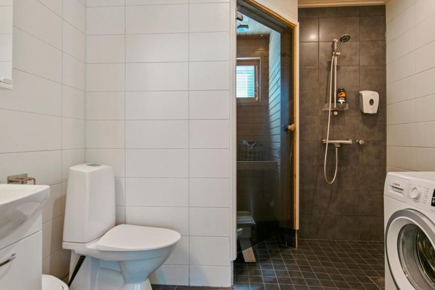 Himoksen keiju 2 - foto 10