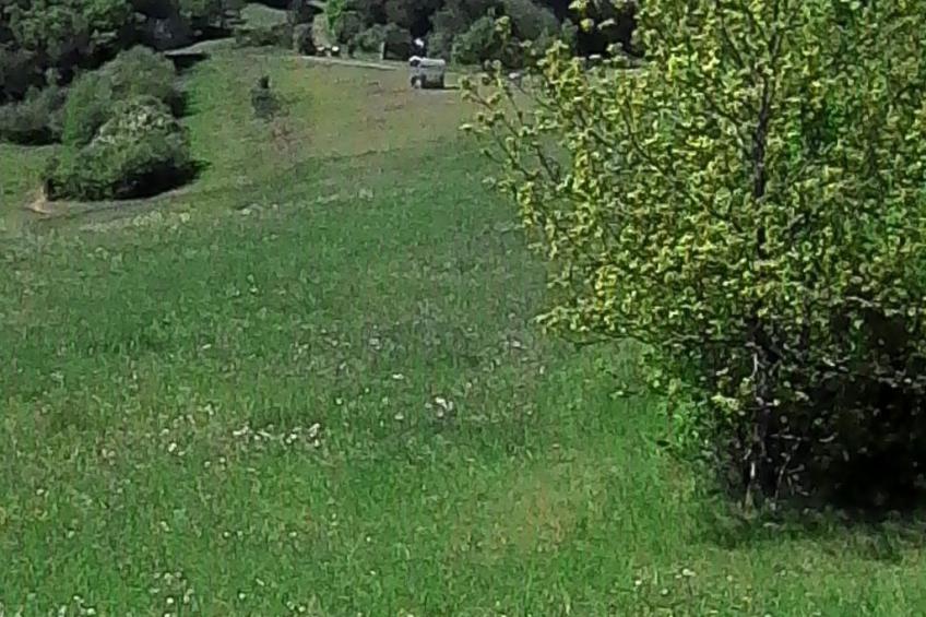 Elztalblick - foto 30