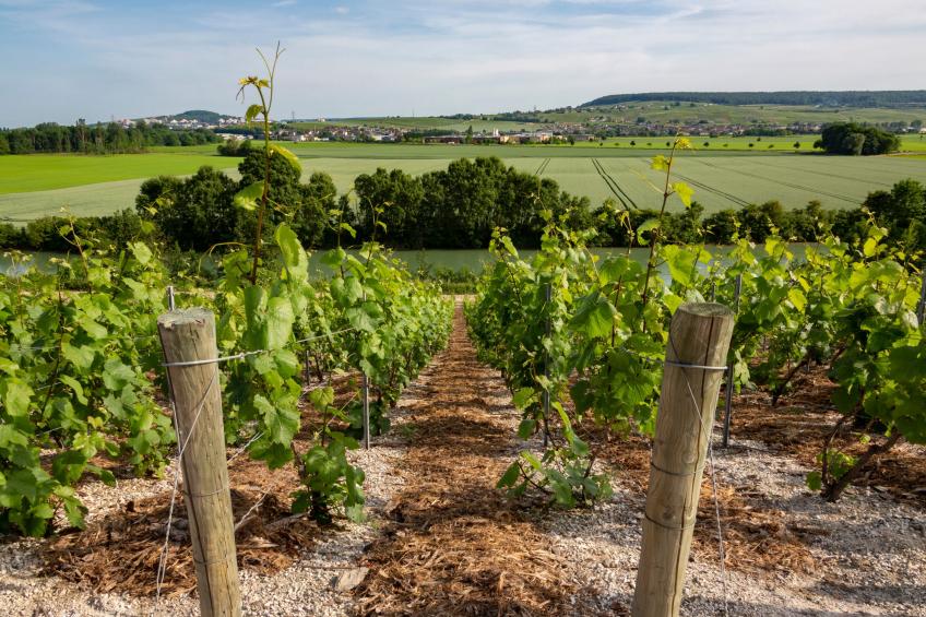 Les Demeures Champenoises Confort ST3N - foto 19