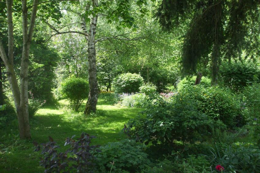 Maison de vacances - PIONSAT - kleine gite - foto 18