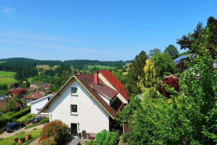 Blackforestbirdnest - foto 7