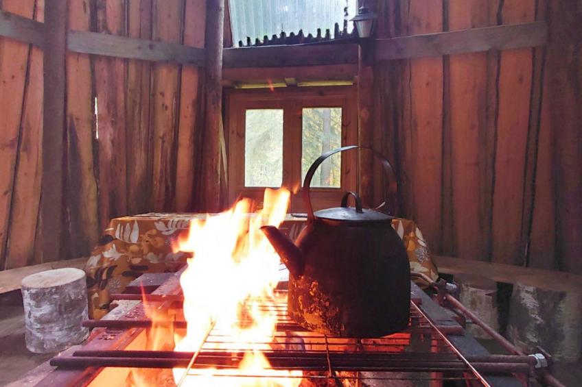 Lahdenpohja, vaikon loma ja lohi - foto 29