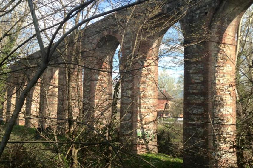 Piccola Margherita - foto 28