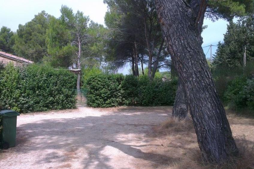 la petite maison sous les pinins-innenpool - foto 16