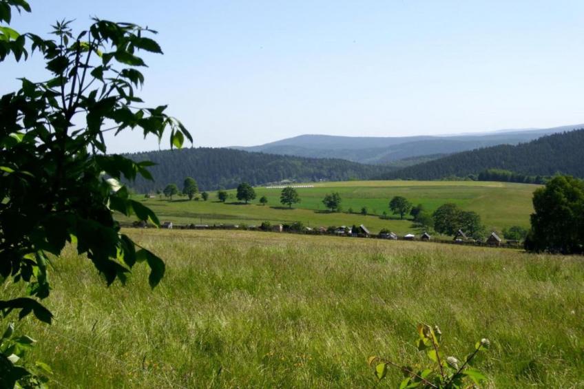 Tannenbergsthal - foto 20