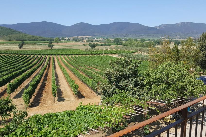 Bio-Bauernhof in der Maremma Park - foto 16