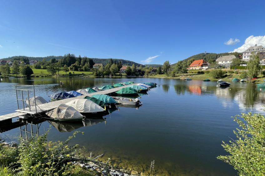 Kurhotel Schluchsee, 4-Bettwohnung - foto 58