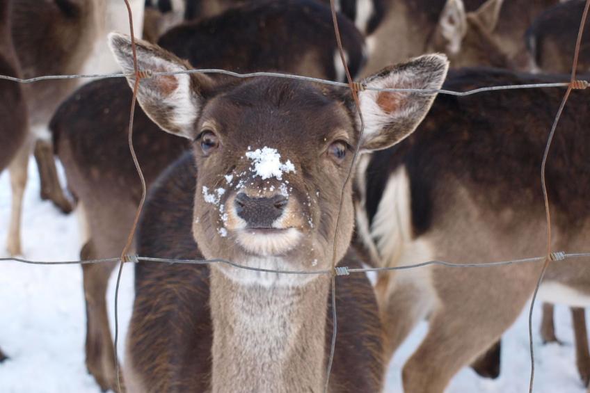 Fewo Hoppenhof 2 - foto 25