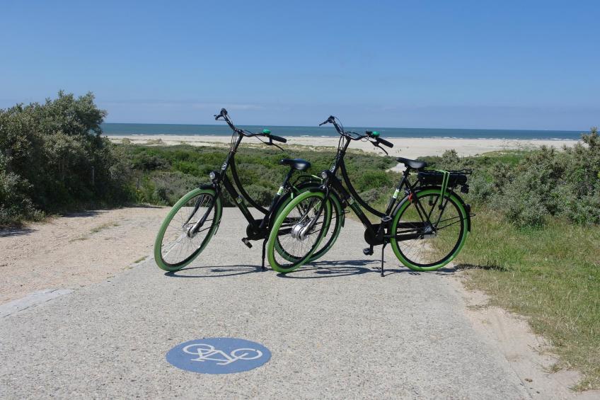 Duinhoeve Chalet Zeeland (huisdier toegestaan) - foto 33