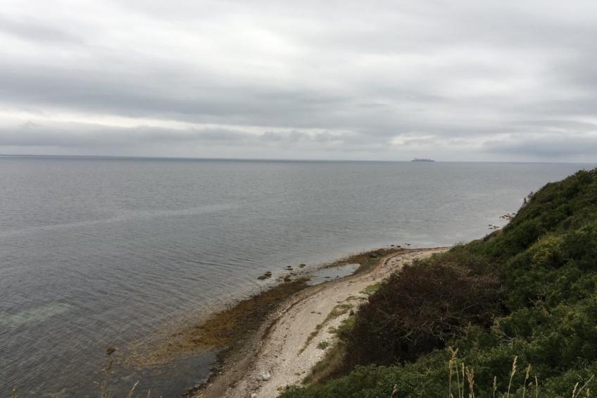 "Miona" - 725m from the sea in Sealand - foto 39
