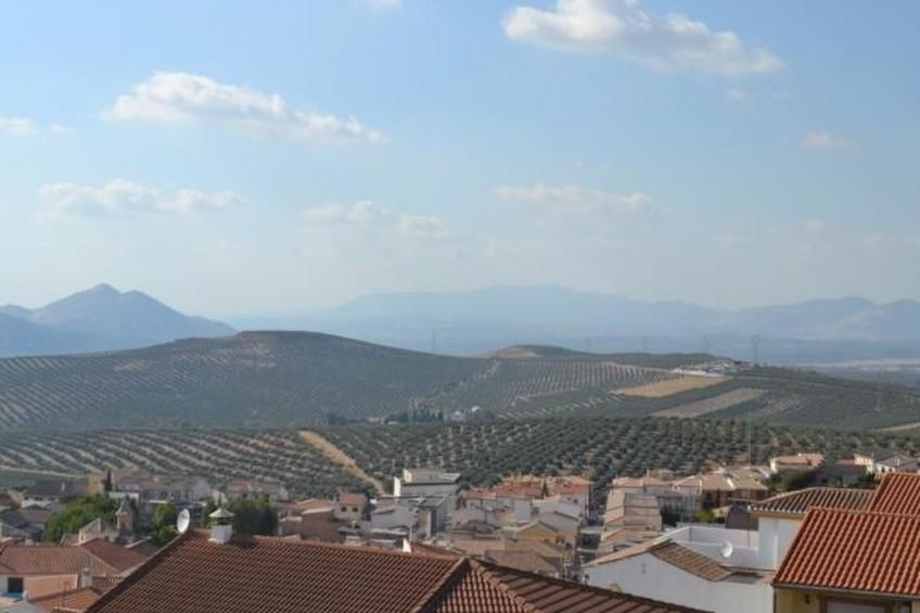 "Casa El Mirador". - foto 16