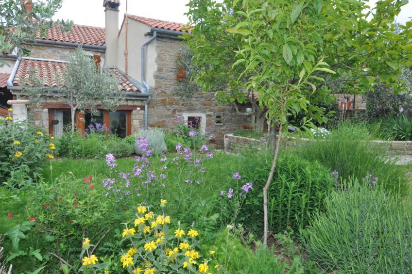 Istrisches Steinhaus - foto 35