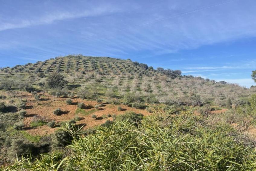 Casa el cielo - foto 37