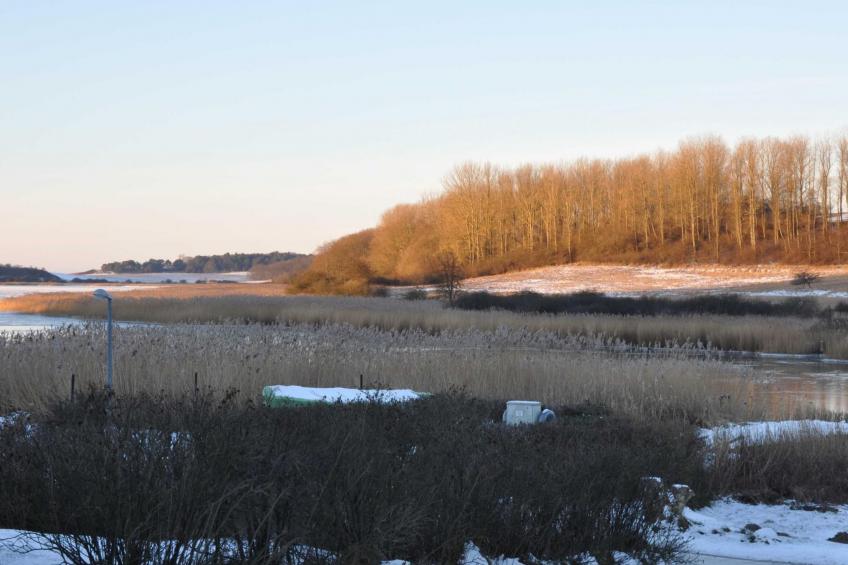 Boddenkiek Seedorf - foto 17