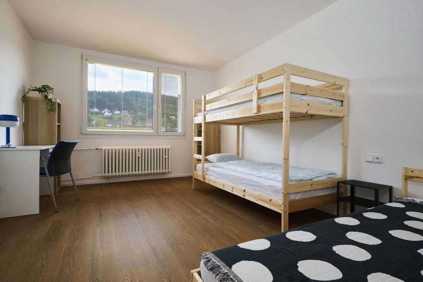 Forest line - foto 4