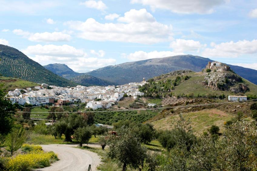 Finca "Cortijo Masegal" - foto 18