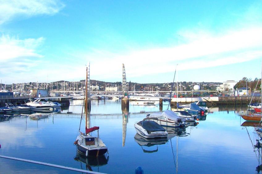 Helle Wohnung in Torquay mit Garten - foto 21