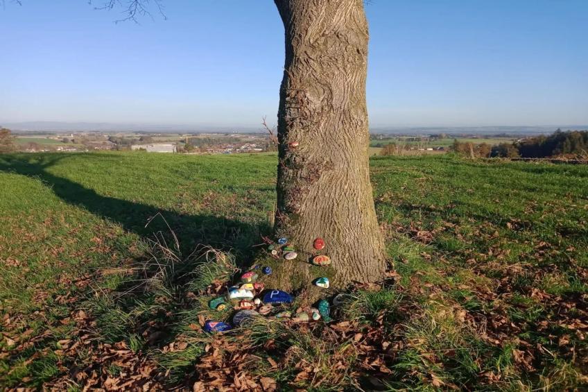 Am Ferienhof - foto 23