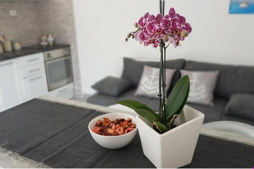 Apartments Katarina -One Bedroom Apartment with Terrace (A2) - foto 28