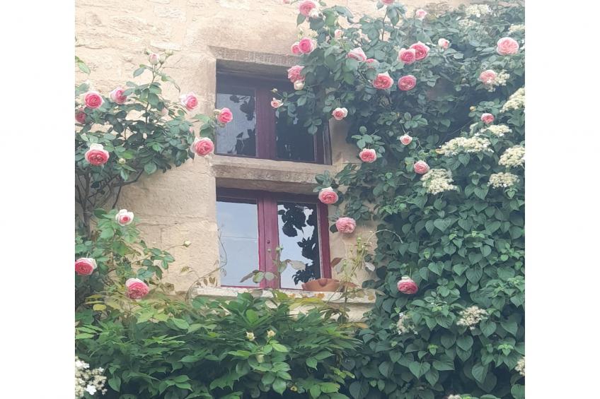 Maison de vacances - ST JORY-LAS-BLOUX - foto 46