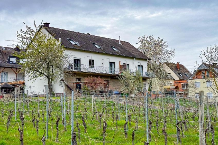 Weingut Hermes-Lex