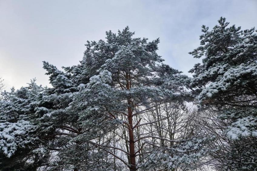 Sonnenschein - foto 40