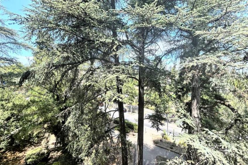 Résidence Cedres - foto 13