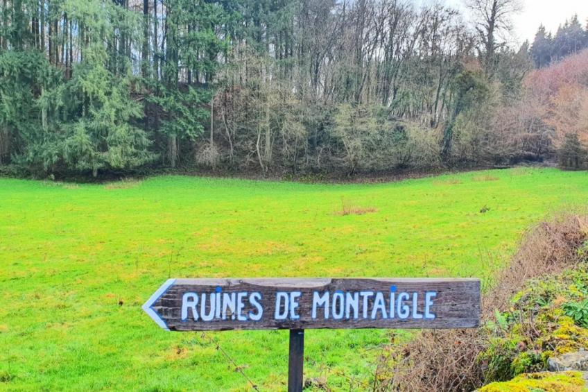 Gite de Montaigle - foto 36