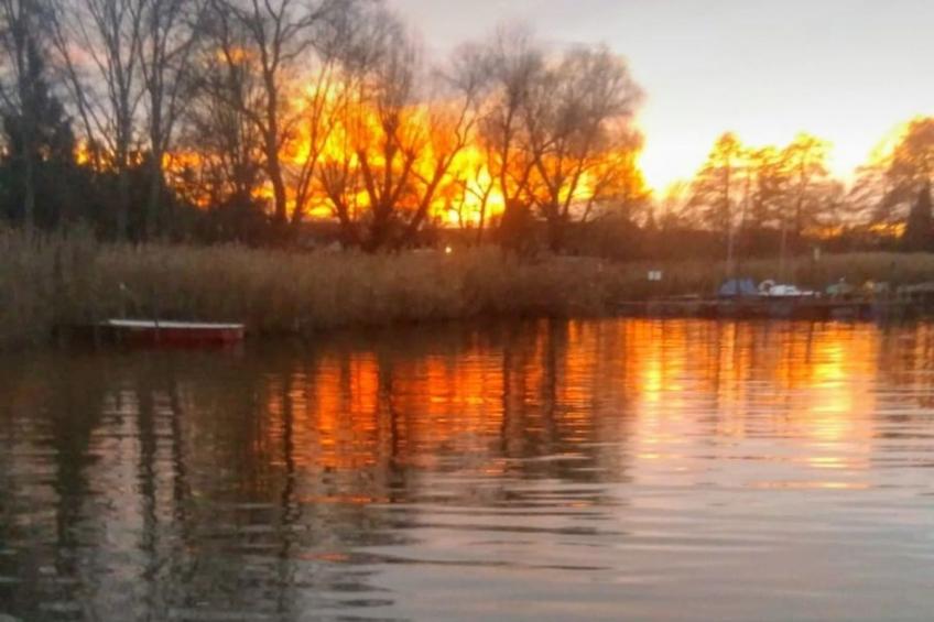 Ferienbungalow auf Gartengrundstück - foto 5