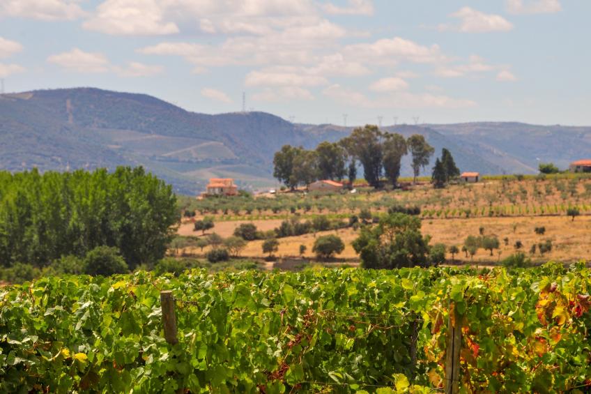 Casa da Capela - foto 29