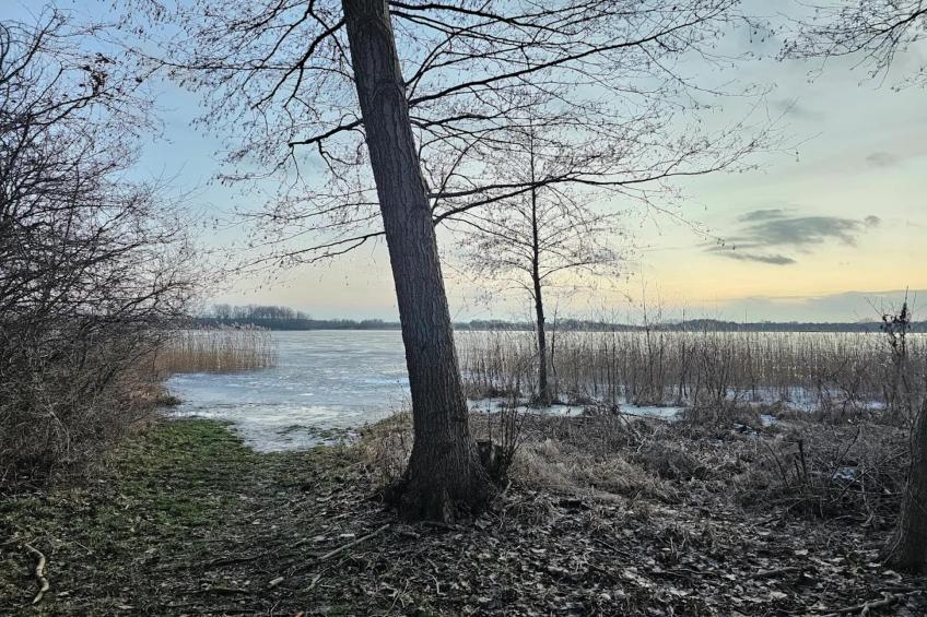 Am Gänsegarten - XL - foto 35