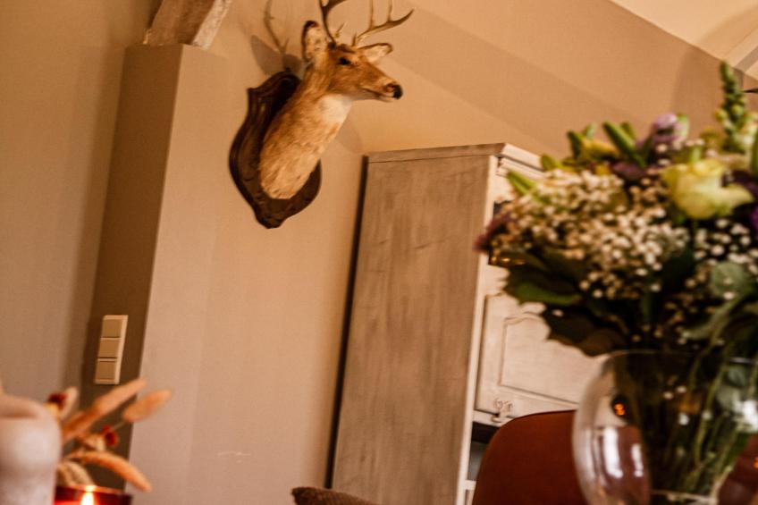 Casteeldoorn - foto 34