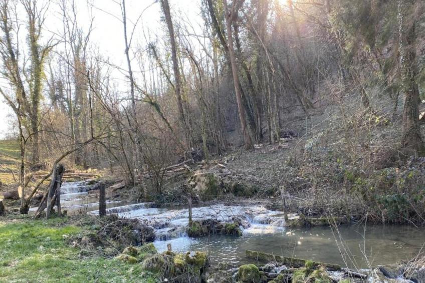 Chalet - ABBÉVILLERS - foto 37