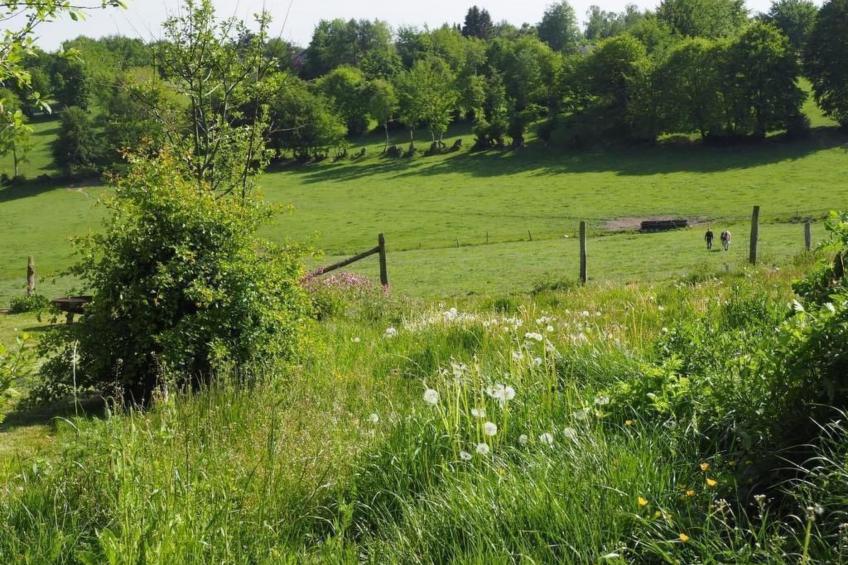 Exklusives Ferienhaus mit Terrasse und Garten - foto 20