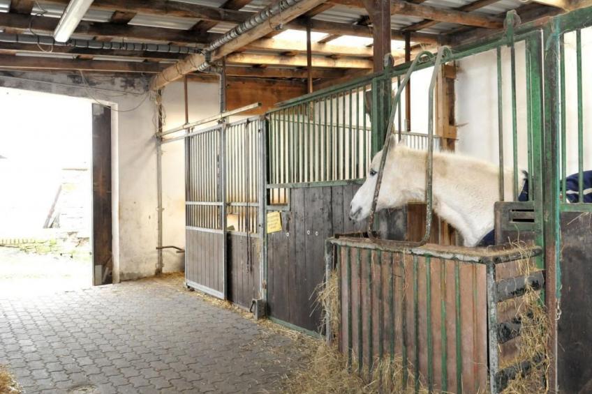 in Feldmannshof mit Grill und Garten - foto 43