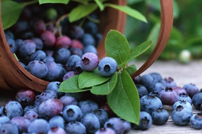 Holzhaus mit Terrasse, direkt an einer Bucht - foto 21