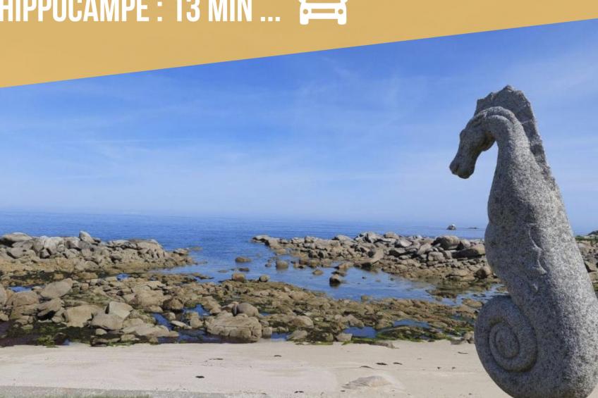 Das Dolmengebäude Clara - foto 69