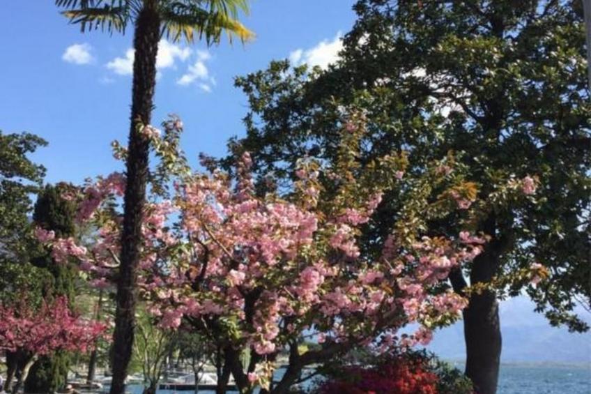 Casa Elena - foto 35