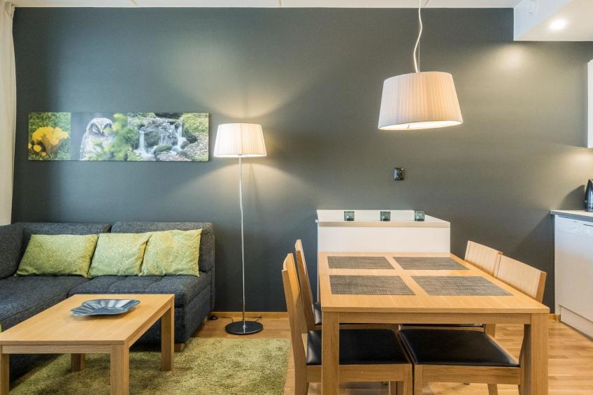 Levi chalet 1602 - foto 6