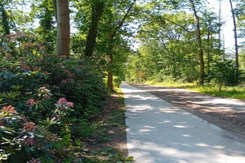 Residence De Eese 26 - foto 27