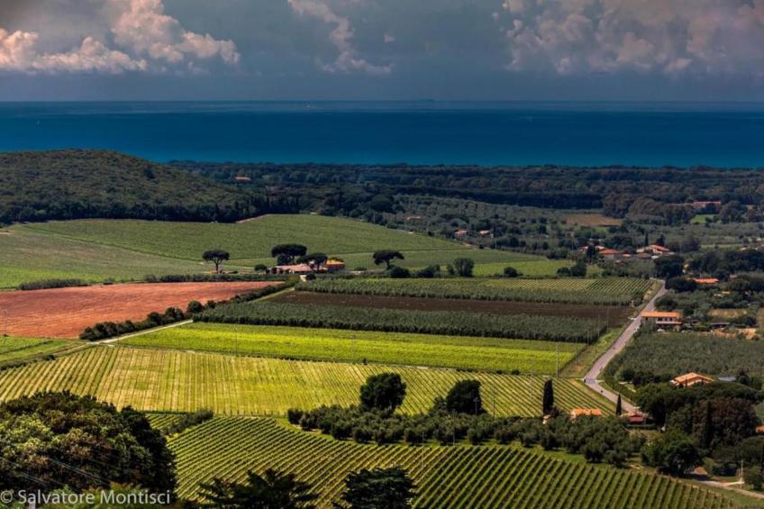 Castagneto1 - foto 32