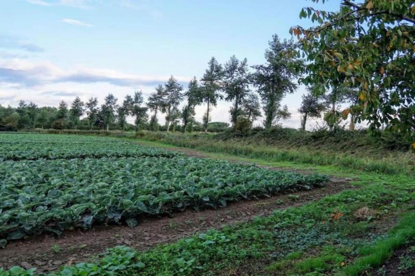 Kon Emmaweg 26 Vrouwenpolder 2p - foto 23