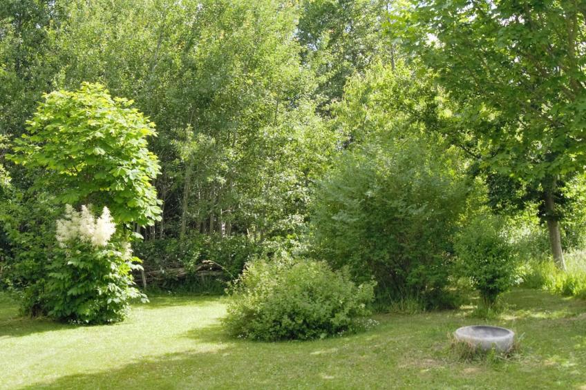 Idyllisches Reetdachhaus mit großem Garten - foto 26