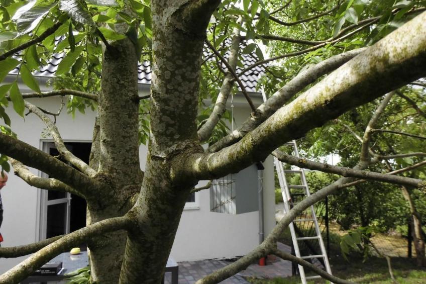 in Landschaftspolder mit Großem Garten - foto 23