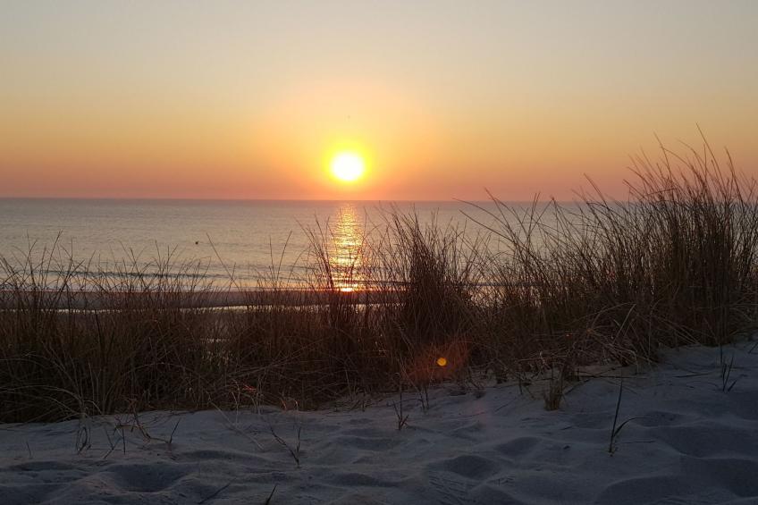 Strandfloh in Hörnum - foto 14