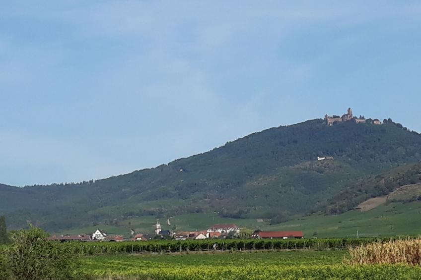 "Gite du forgeron" (Schmiedehaus) - foto 20