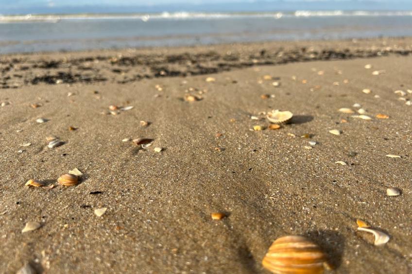 Rekerlanden 202 - foto 27